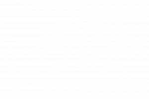 Original Logo White Negative Original Logo White Negative